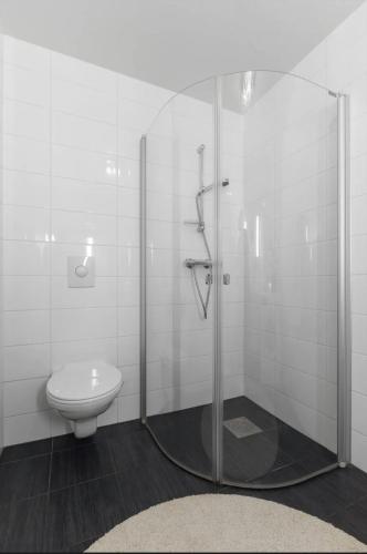 a bathroom with a toilet and a glass shower at Koselig leilighet in Arendal