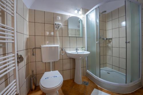 a bathroom with a toilet and a sink and a shower at Pensiunea Bastion - La Strada - in Sighişoara