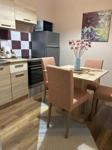 Kuchyň nebo kuchyňský kout v ubytování Apartman Teodora