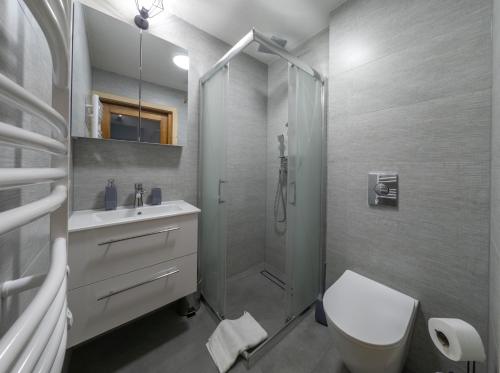 a bathroom with a shower and a toilet and a sink at Niedźwiedź nad Chochołowską in Witów