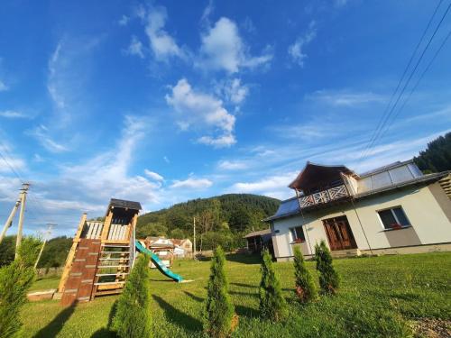 a house with a slide in a yard at Карпатський двір in Krivorovnya