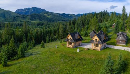 Niedźwiedź nad Chochołowską