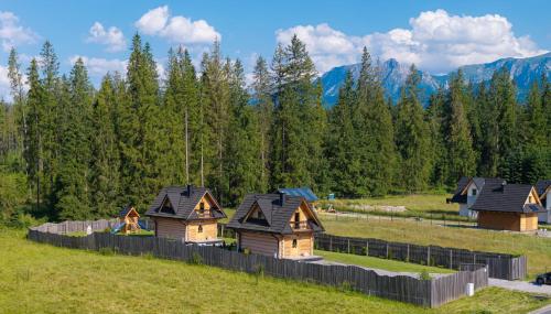 a group of houses in a field with trees at Domki Biała i Czarna Owca in Witów