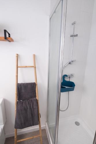 a ladder in a bathroom with a shower and a towel at Quinta Sao Roque in São Roque