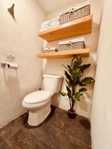 a bathroom with a toilet and a plant in it at The Mermaid and The Pearl Boutique Hotel in Isla Mujeres