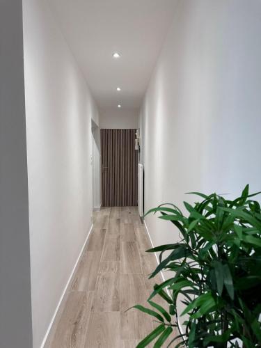 a hallway with white walls and a plant at Très bel appartement PremiumSteinbach-parking in Mulhouse