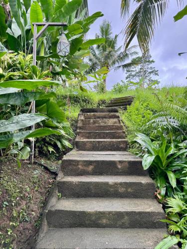 Giardino di Sawah Indah Villa