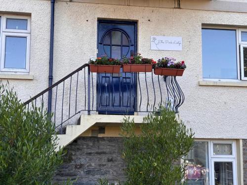 a staircase with a blue door and flower boxes on it at The Park Lodge in Kinsale
