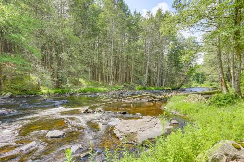 a stream in the middle of a forest at Shohola Creek On-Site Updated Getaway with Deck! in Shohola