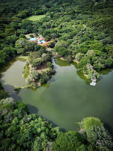 an aerial view of a lake in the middle of a forest at Hostería Florida Tropical in Santa Fe de Antioquia