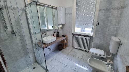 a bathroom with a shower and a sink and a toilet at La Daiana in Imola