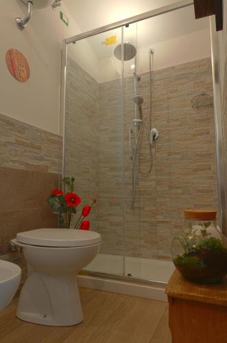 a bathroom with a shower and a toilet with a glass door at Il Respiro del Borgo in Civitella Del Lago