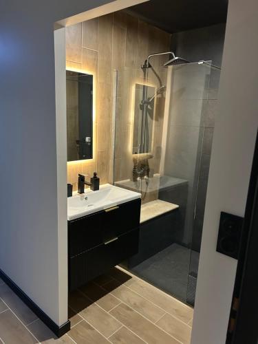 a bathroom with a sink and a shower at Maison SPA 2025 in Mont-près-Chambord
