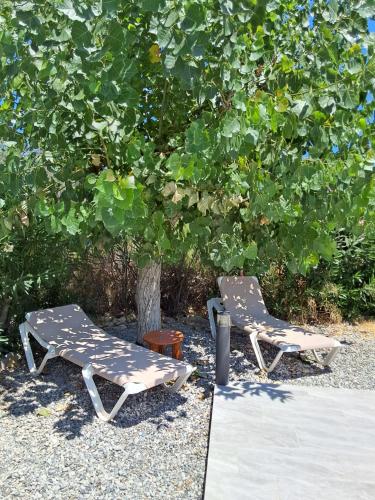 two chairs and a table and a tree at Hotel Narkissos in Archangelos