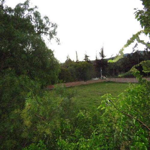 a field of grass with trees in the background at Serravalle in Guano