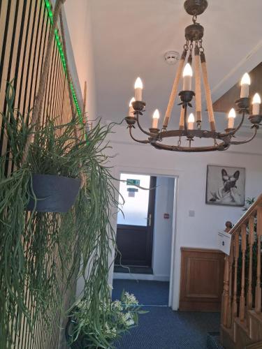 Crown House Studio Apartment photo 26