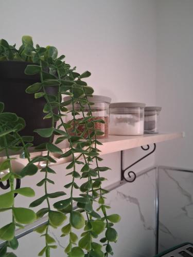 Crown House Studio Apartment photo 27