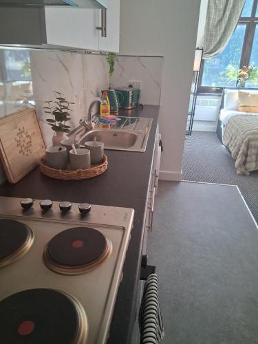 Crown House Studio Apartment photo 28
