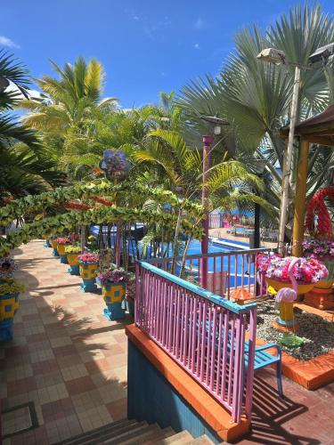 a row of potted plants on a patio with palm trees at Ayenda 1132 Copiclub in Ibagué
