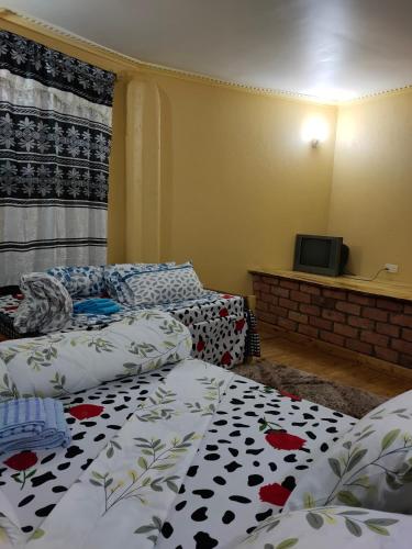 Katil atau katil-katil dalam bilik di Galapagos Homestay
