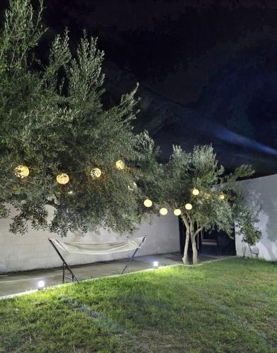 two trees and chairs in a yard at night at Villa Maya House - Cap Zbib in Banī ‘Aţāʼ