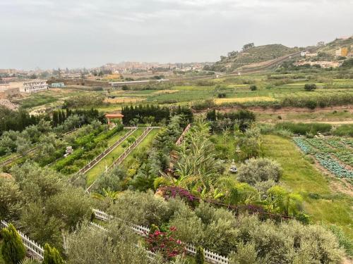 a garden with trees and plants in a field at PARADISE APARTment #2 in Idoudouhane