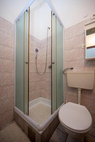 a bathroom with a shower with a toilet and a sink at Apartments with parking space Zdrelac, Pasman - 8514 in Ždrelac