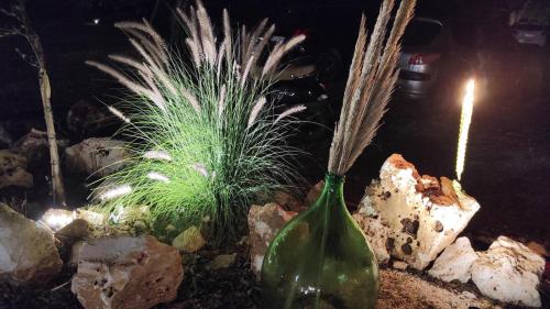 a plant in a vase next to some rocks at Trullincanto Monopoli by JD Collection in Monopoli