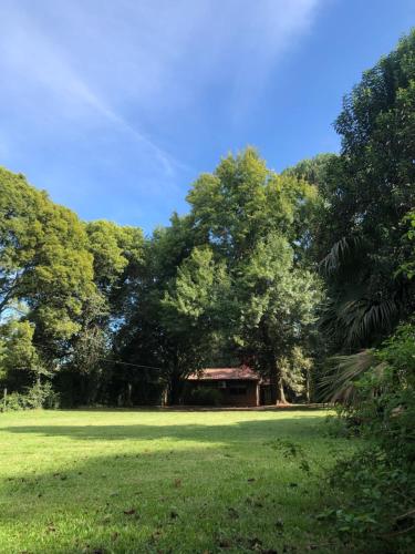 a park with a large tree and a building in the distance at La Manquel - Casa y Yungas in Yerba Buena