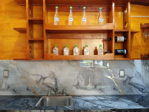 a kitchen with a sink and bottles of alcohol at Hostal Pakore Wera in Bahía Solano