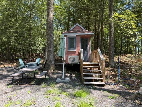 a tiny house in the woods next to a tree at Camptel Poconos in Albrightsville