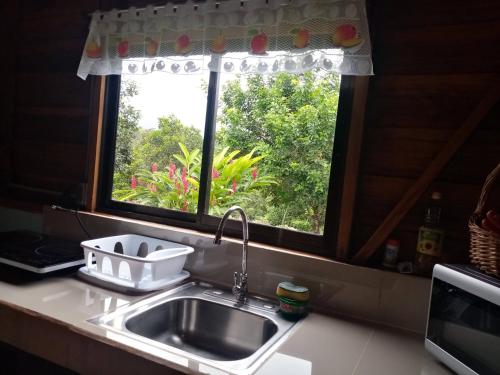 a kitchen sink and a window with a view of trees at Cabaña Rural el Mirador in Fortuna
