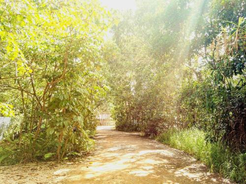 a dirt road through a forest with trees at Coastal Bliss New Brighton Eco Pod 50m to Beach in New Brighton