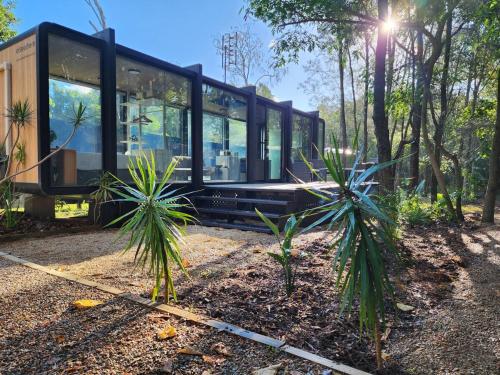 a glass house in a forest with two palm trees at Coastal Bliss New Brighton Eco Pod 50m to Beach in New Brighton