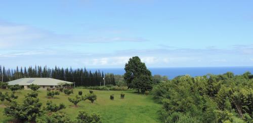 an aerial view of a farm with the ocean in the background at Mahana House Country Inn in North Hilo