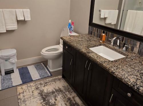 a bathroom with a sink and a toilet and a mirror at Golden Acreage Getaway 2 Bedroom in Balzac