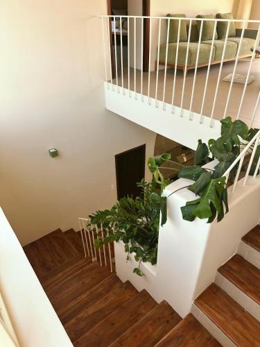 Φωτογραφία από το άλμπουμ του Riverside Villa with Garden σε Kon Rung (1)