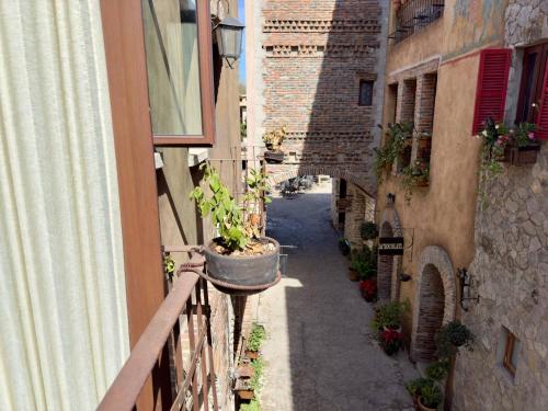 an alley with a pot of plants on a balcony at Pisa en ValQuirico in Santeagueda