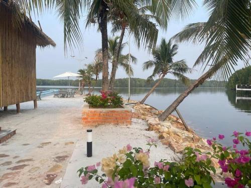 a beach with palm trees and a body of water at Nov Koh Kong Resort in Phumĭ Srê Thmei