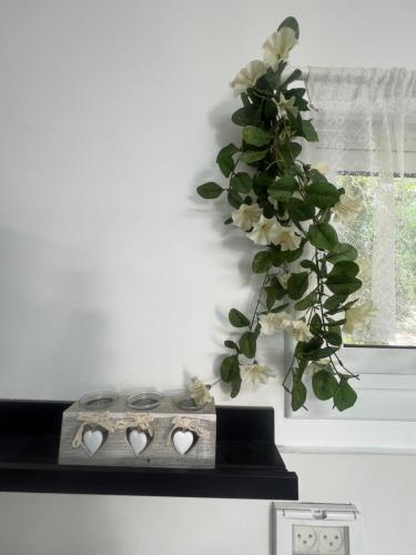 Una cocina o cocineta en Romi's suite by LOREN VILLAGE