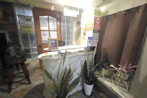 ein Raum mit einer Theke mit einer Topfpflanze in der Unterkunft D and A Transient Inn Taguig in Taguig