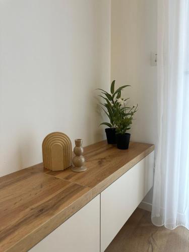 a wooden counter with plants on it in a room at Skyline Apartment 3 in Peje