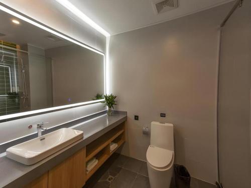 a bathroom with a sink and a toilet and a mirror at GreenTree Inn Express Shandong Zaozhuang Shizhong District Huashan Road Ginza in Zaozhuang