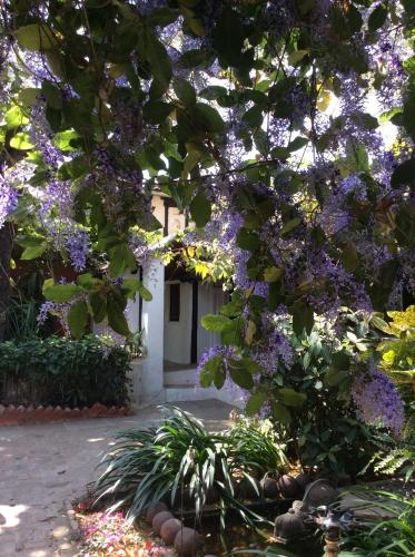 a tree with purple flowers in front of a building at Ahilya Fort in Maheshwar