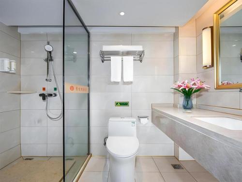 a bathroom with a toilet and a shower and a sink at Vienna Hotel Anhui Huainan Railway Station in Huainan