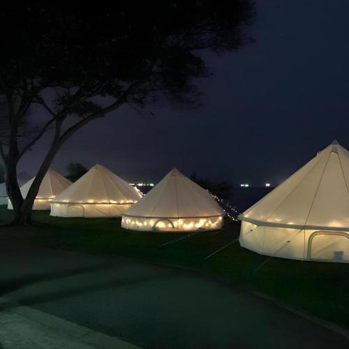 a group of tents with lights in the grass at night at Glamping kaki singapore-Standard medium bell tent in Singapore