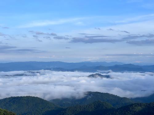 Landskap semula jadi dekat dengan homestay