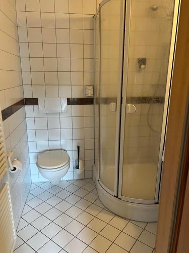 a bathroom with a shower and a toilet at Hotel Restaurant Lavelle in Gräfinthal
