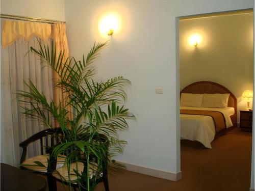 a bedroom with a bed and a potted plant at Cao Nguyen Hotel in Buon Ma Thuot