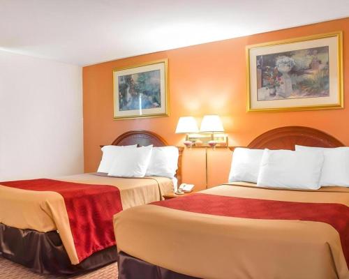 a hotel room with two beds with orange walls at Econo Lodge Cuba I-86 in Cuba
